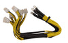 APW3++ Replacement Power Cables with 10 X 6-pin